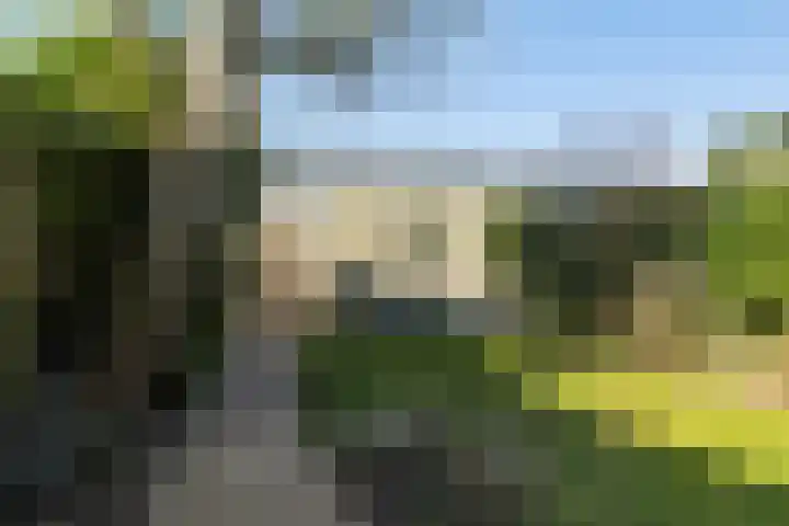 Wollebrand 26 Pijnacker thumbnail 10