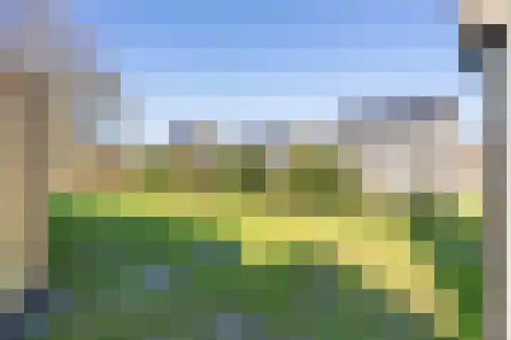 Wollebrand 26 Pijnacker thumbnail 14