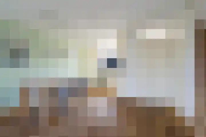 Wollebrand 26 Pijnacker thumbnail 15