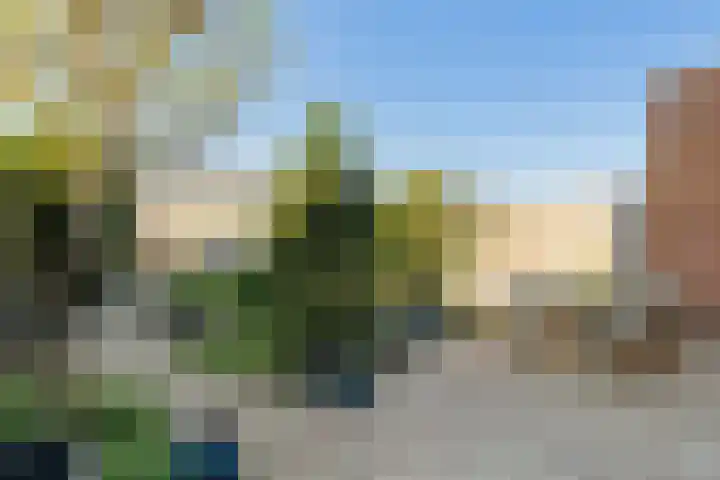 Wollebrand 26 Pijnacker thumbnail 8