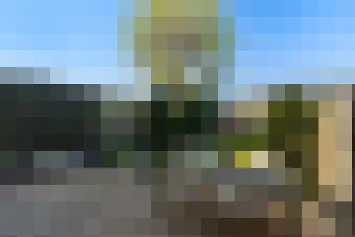 Wollebrand 26 Pijnacker thumbnail 9