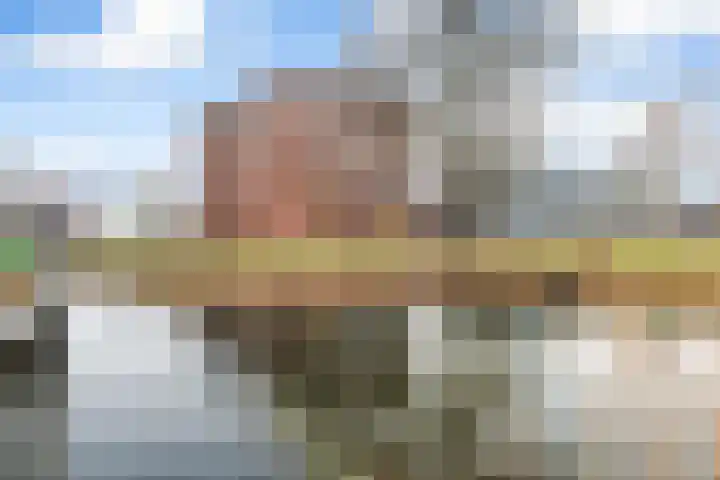 Wollebrand 9 in Pijnacker