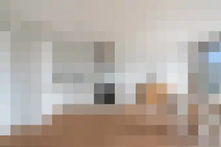 Wollebrand 9 Pijnacker thumbnail 10