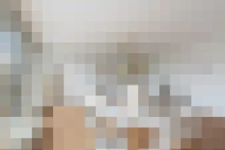 Wollebrand 9 Pijnacker thumbnail 12