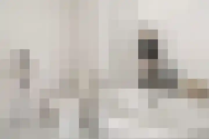 Wollebrand 9 Pijnacker thumbnail 20