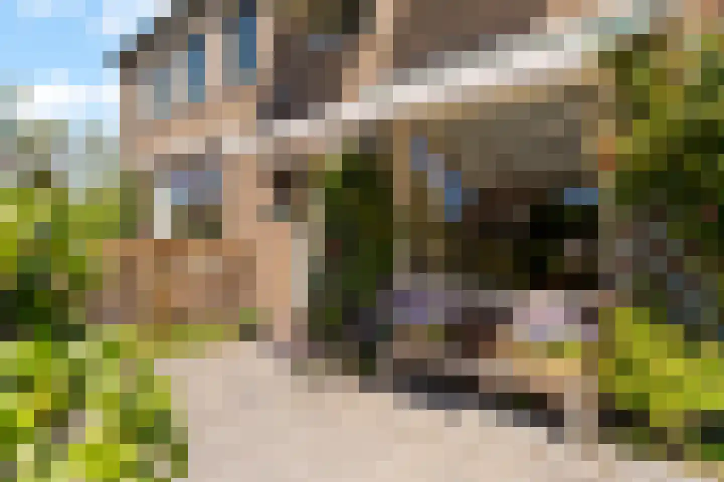 Wollefoppenweg 16 a Zevenhuizen thumbnail 10