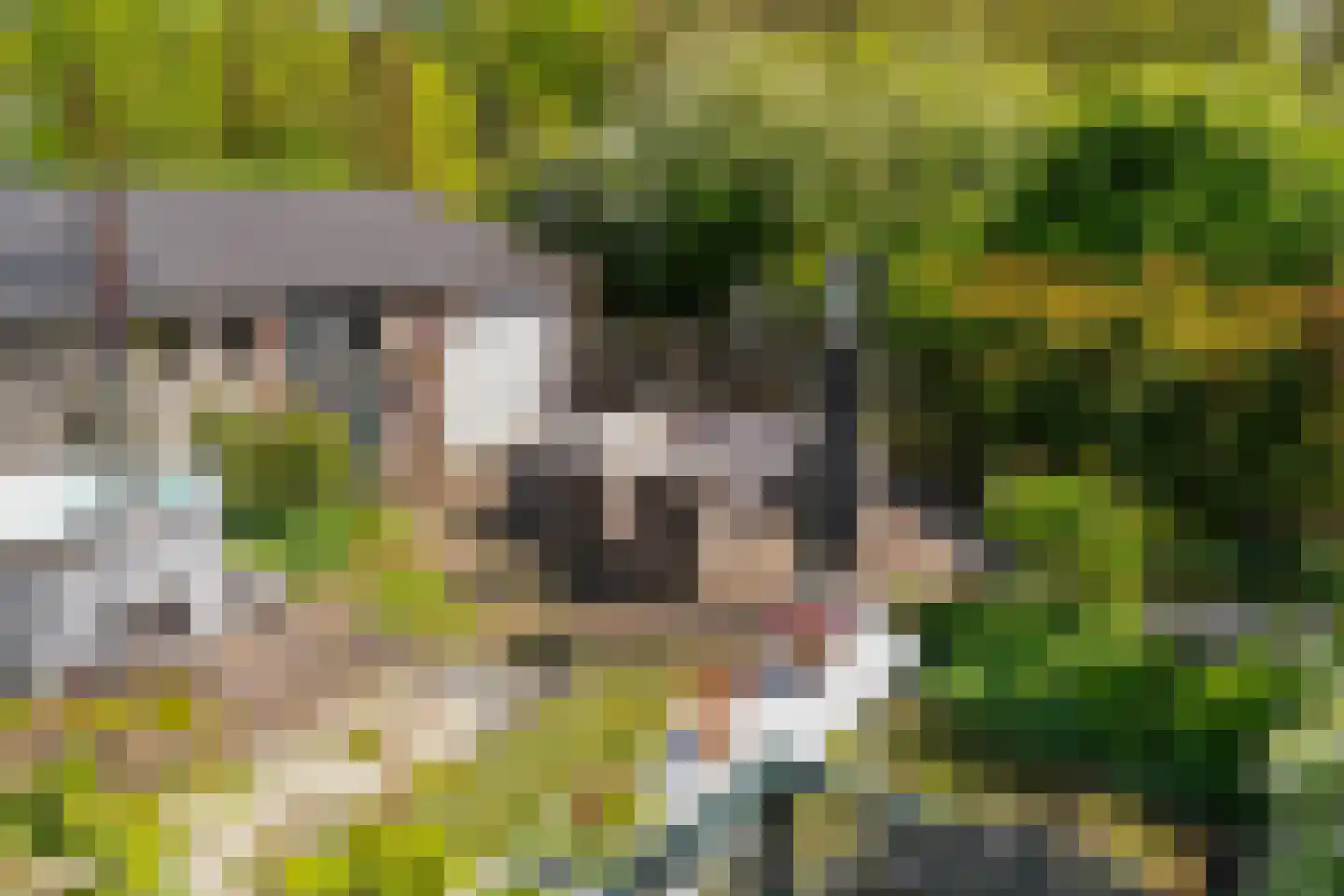 Wollefoppenweg 16 a Zevenhuizen thumbnail 11