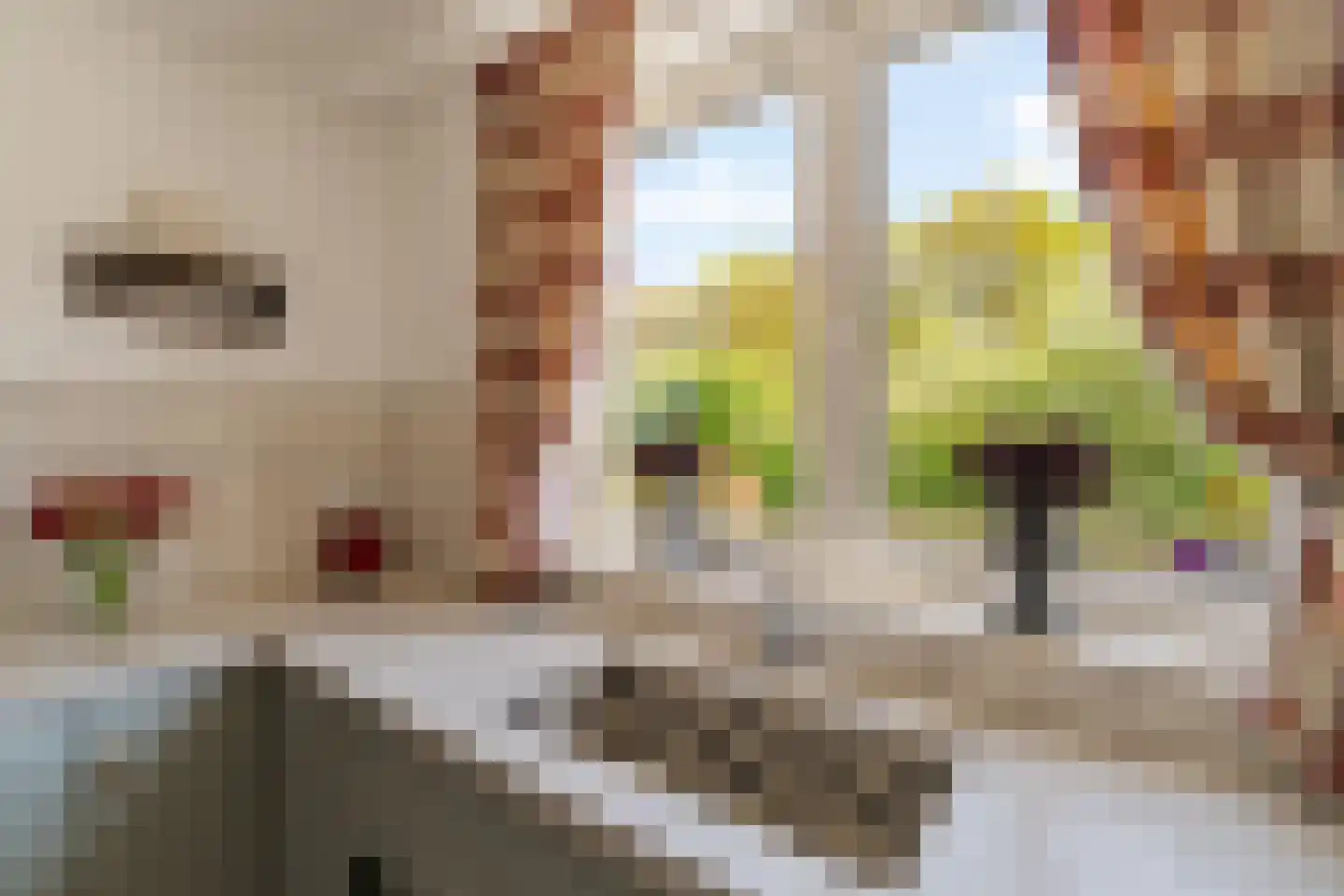 Wollefoppenweg 16 a Zevenhuizen thumbnail 21