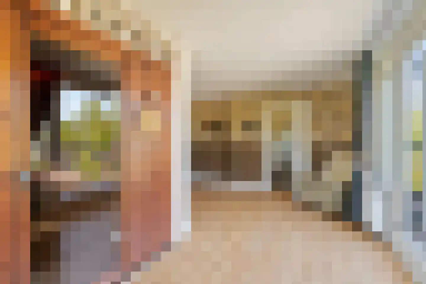 Wollefoppenweg 16 a Zevenhuizen thumbnail 36