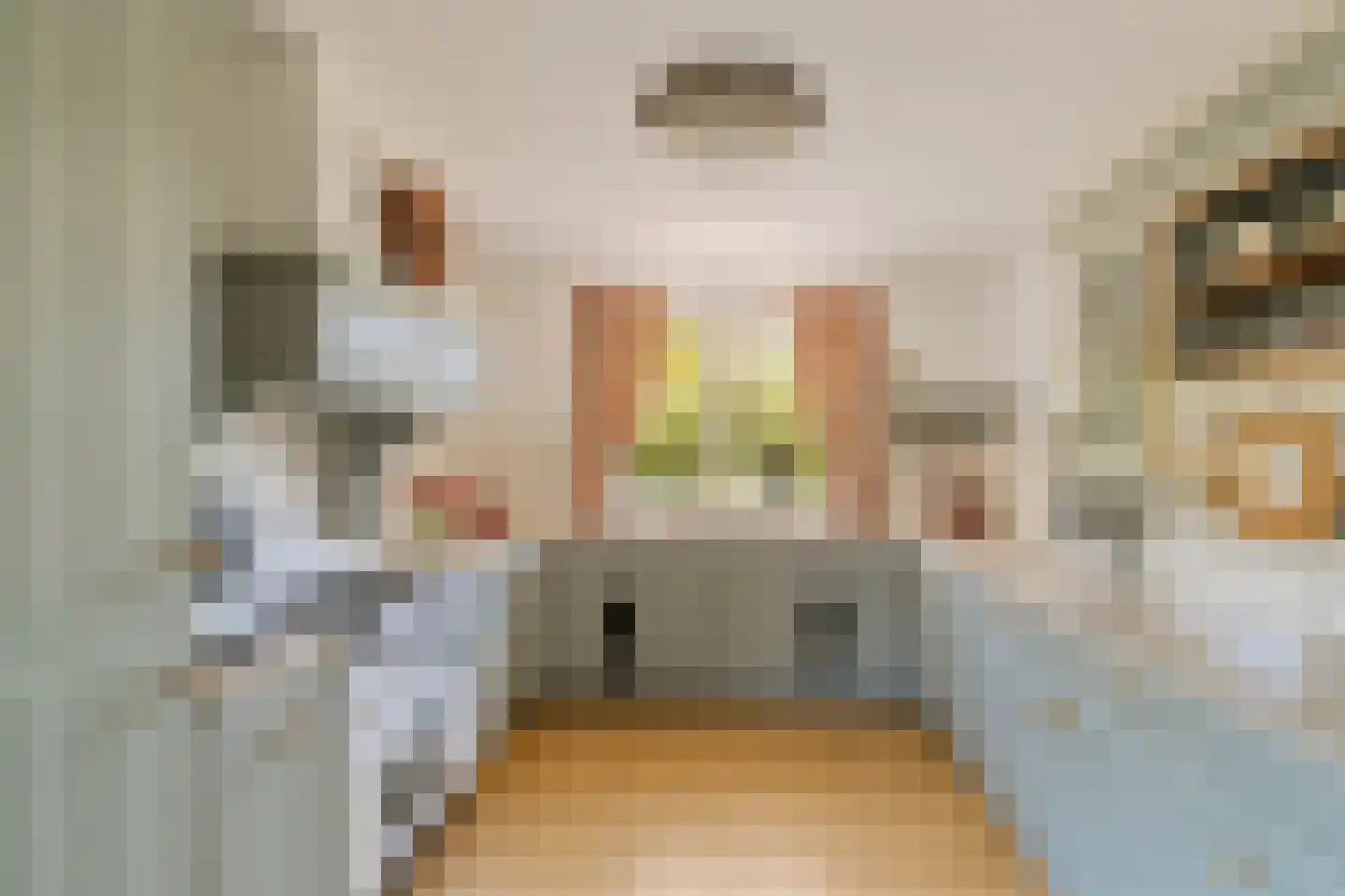 Wollefoppenweg 16 a Zevenhuizen thumbnail 4