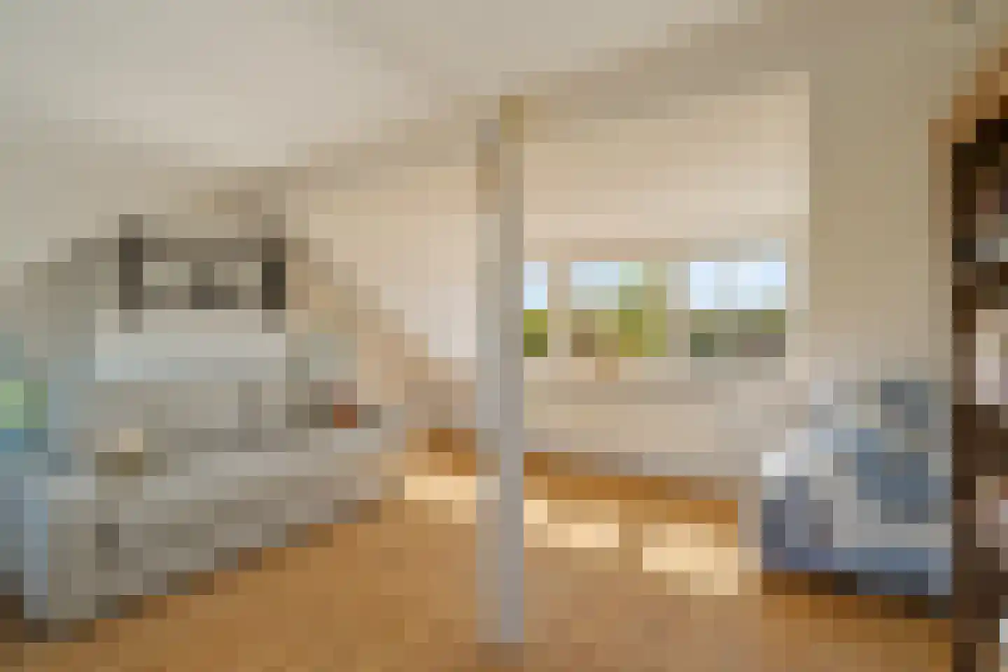 Wollefoppenweg 16 a Zevenhuizen thumbnail 41