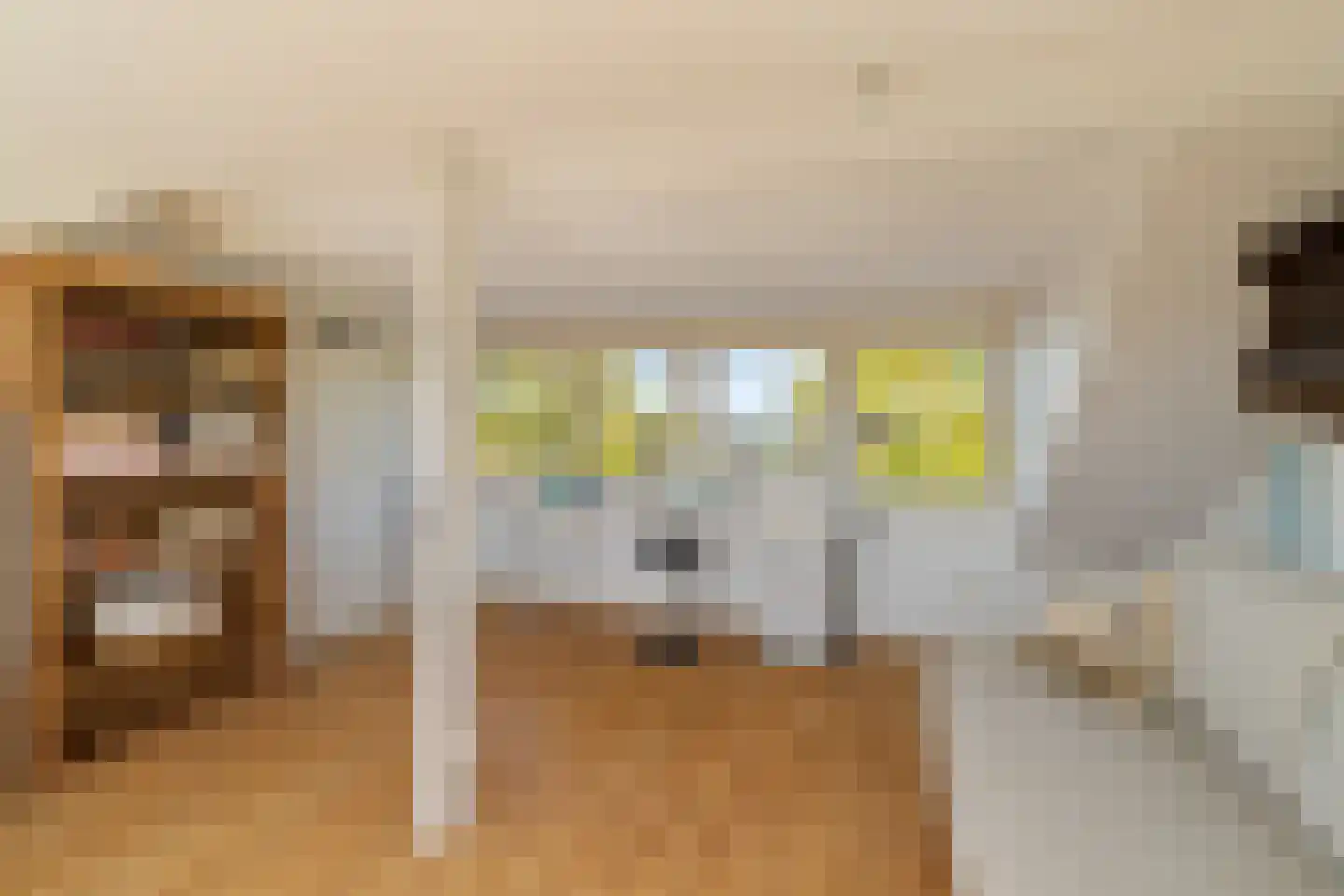 Wollefoppenweg 16 a Zevenhuizen thumbnail 43