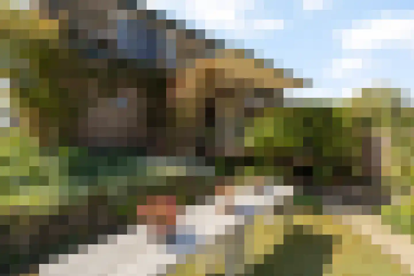 Wollefoppenweg 16 a Zevenhuizen thumbnail 44