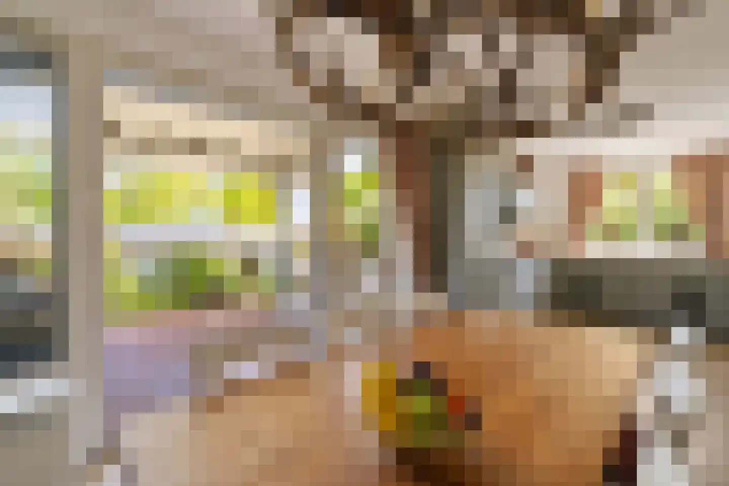 Wollefoppenweg 16 a Zevenhuizen thumbnail 44