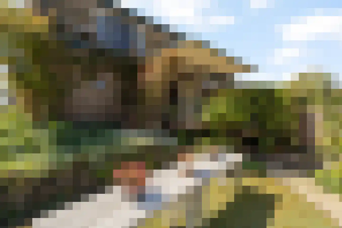Wollefoppenweg 16 a Zevenhuizen thumbnail 45