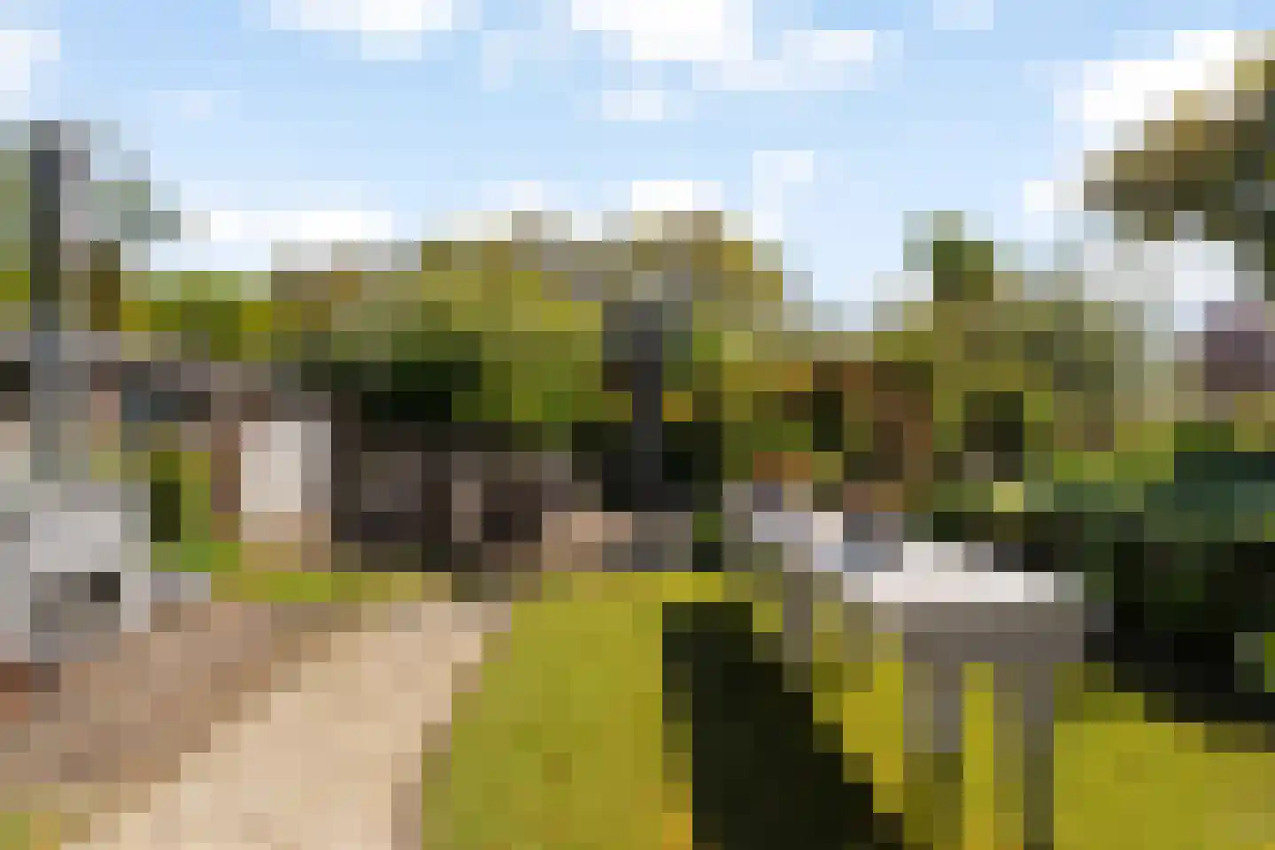 Wollefoppenweg 16 a Zevenhuizen thumbnail 47