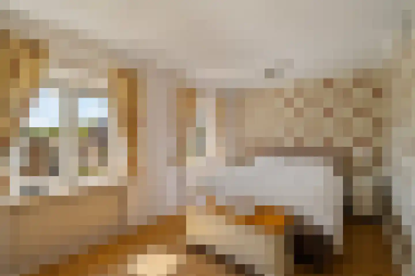 Wollefoppenweg 16 a Zevenhuizen thumbnail 5