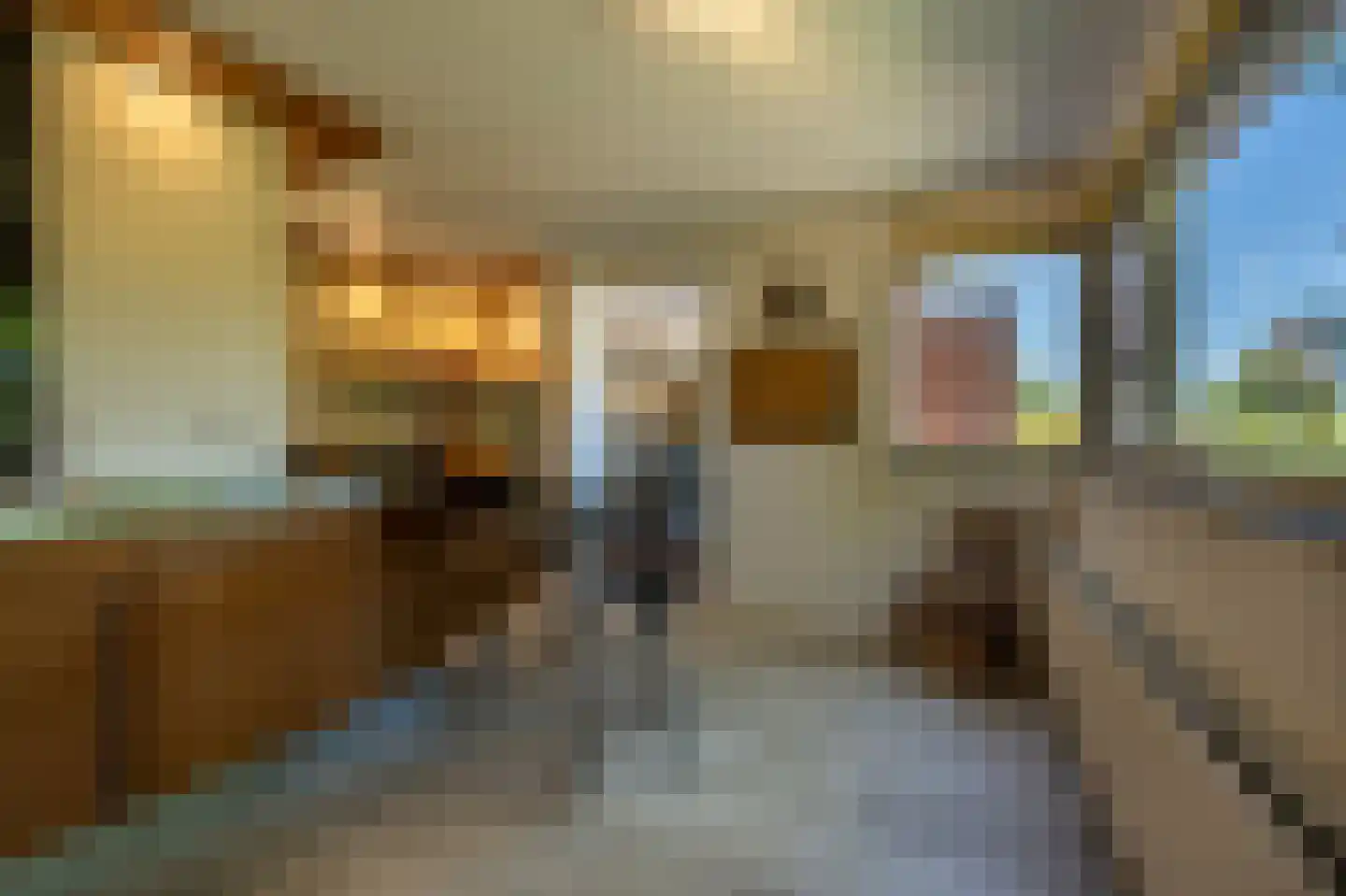 Wollefoppenweg 2 D Rotterdam thumbnail 15