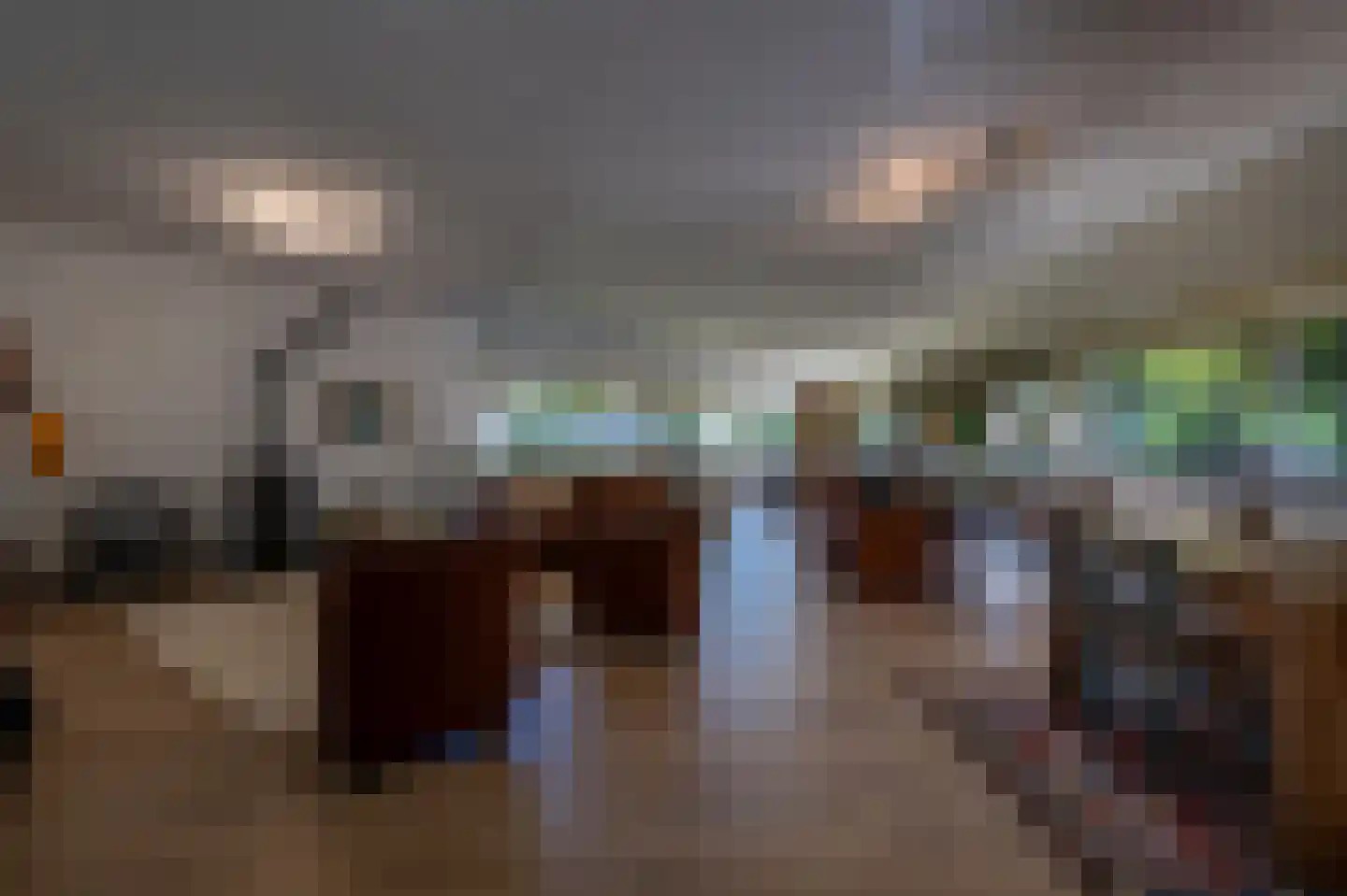 Wollefoppenweg 2 D Rotterdam thumbnail 17