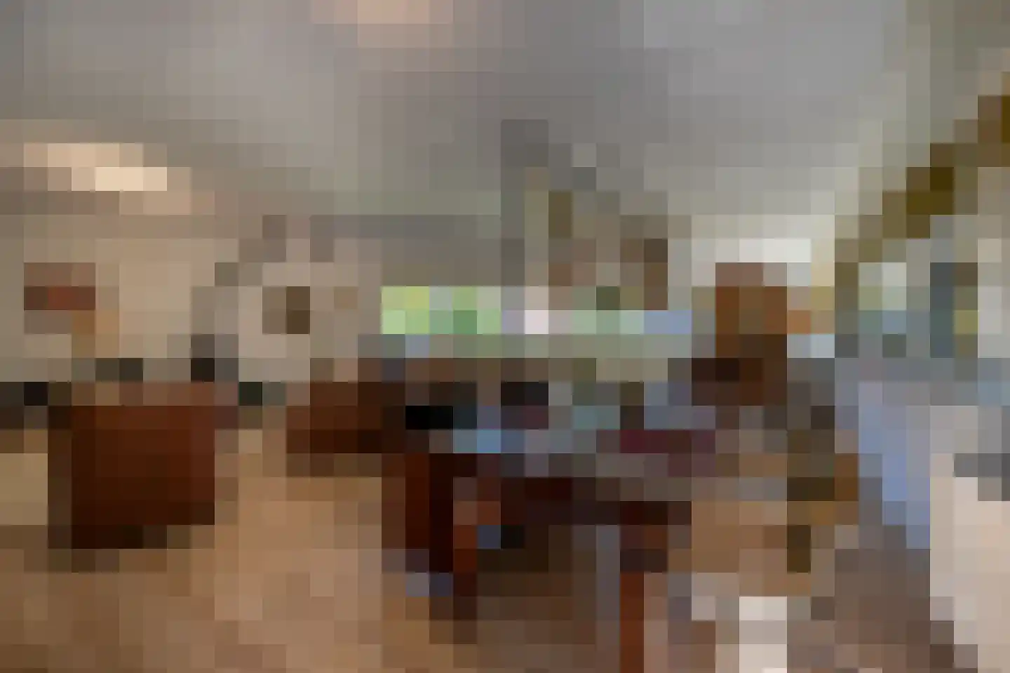 Wollefoppenweg 2 D Rotterdam thumbnail 19