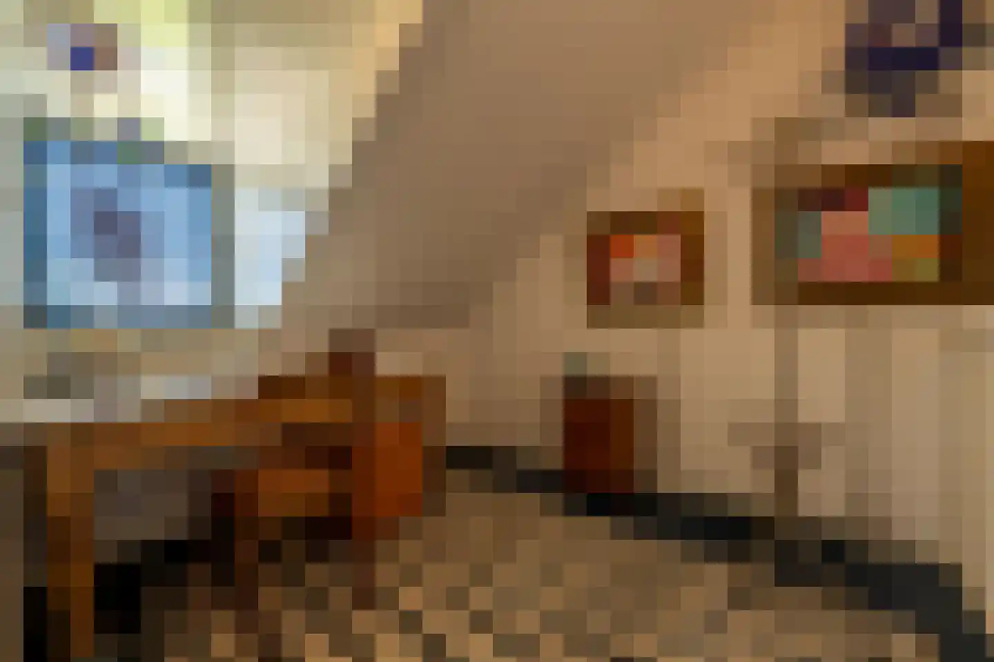 Wollefoppenweg 2 D Rotterdam thumbnail 38