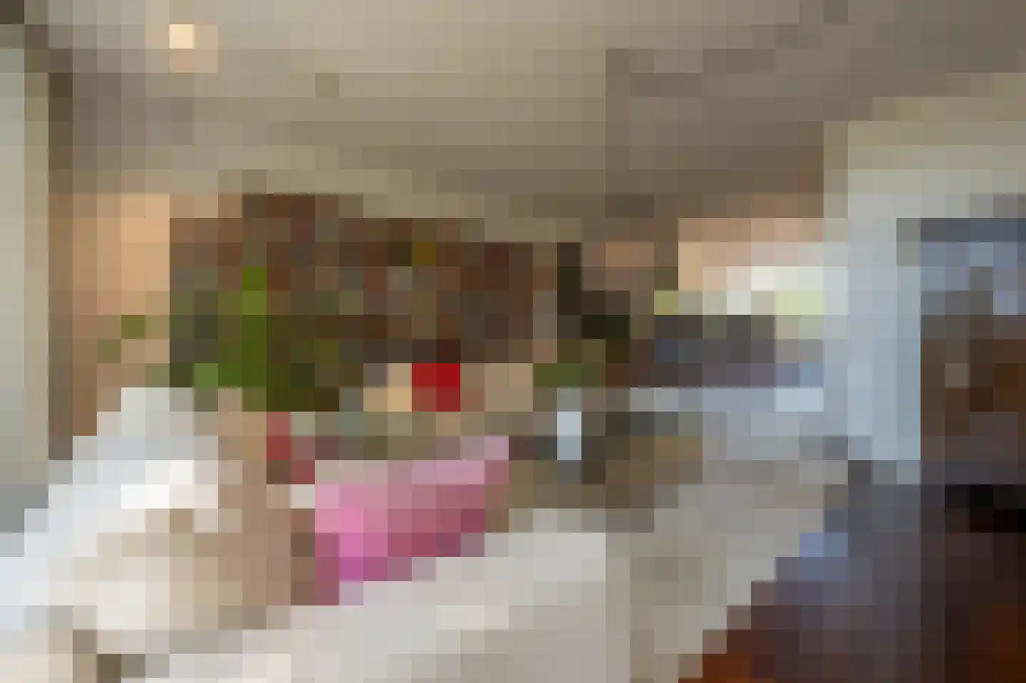 Wollefoppenweg 2 D Rotterdam thumbnail 4