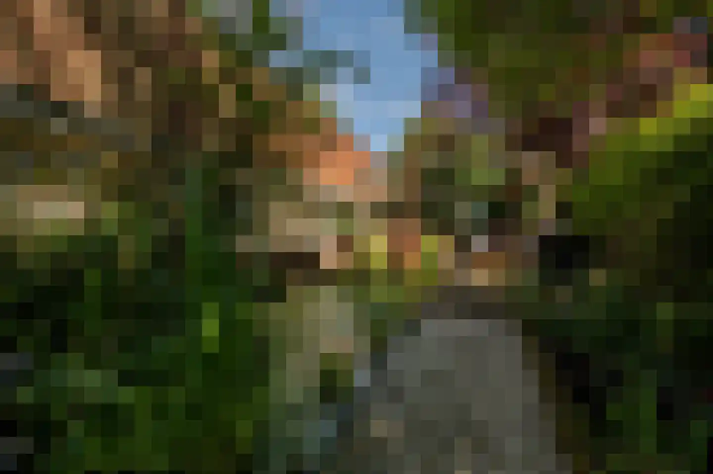 Wollefoppenweg 2 D Rotterdam thumbnail 47