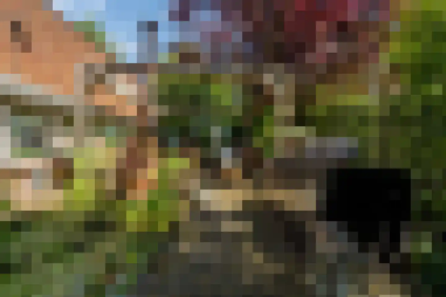 Wollefoppenweg 2 D Rotterdam thumbnail 48