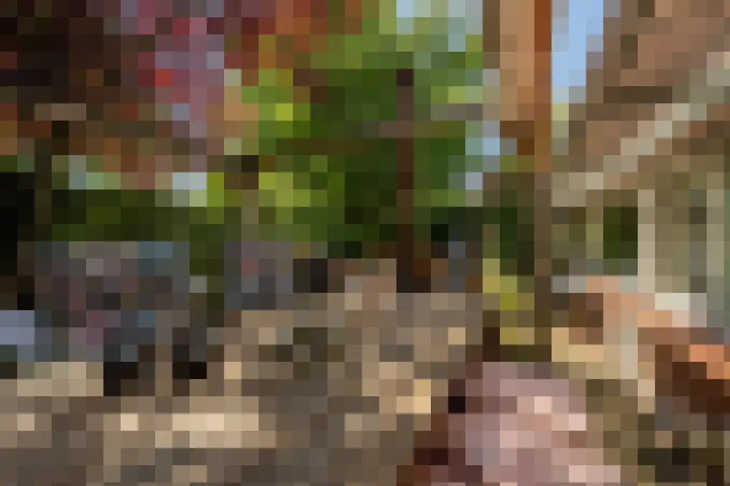 Wollefoppenweg 2 D Rotterdam thumbnail 49