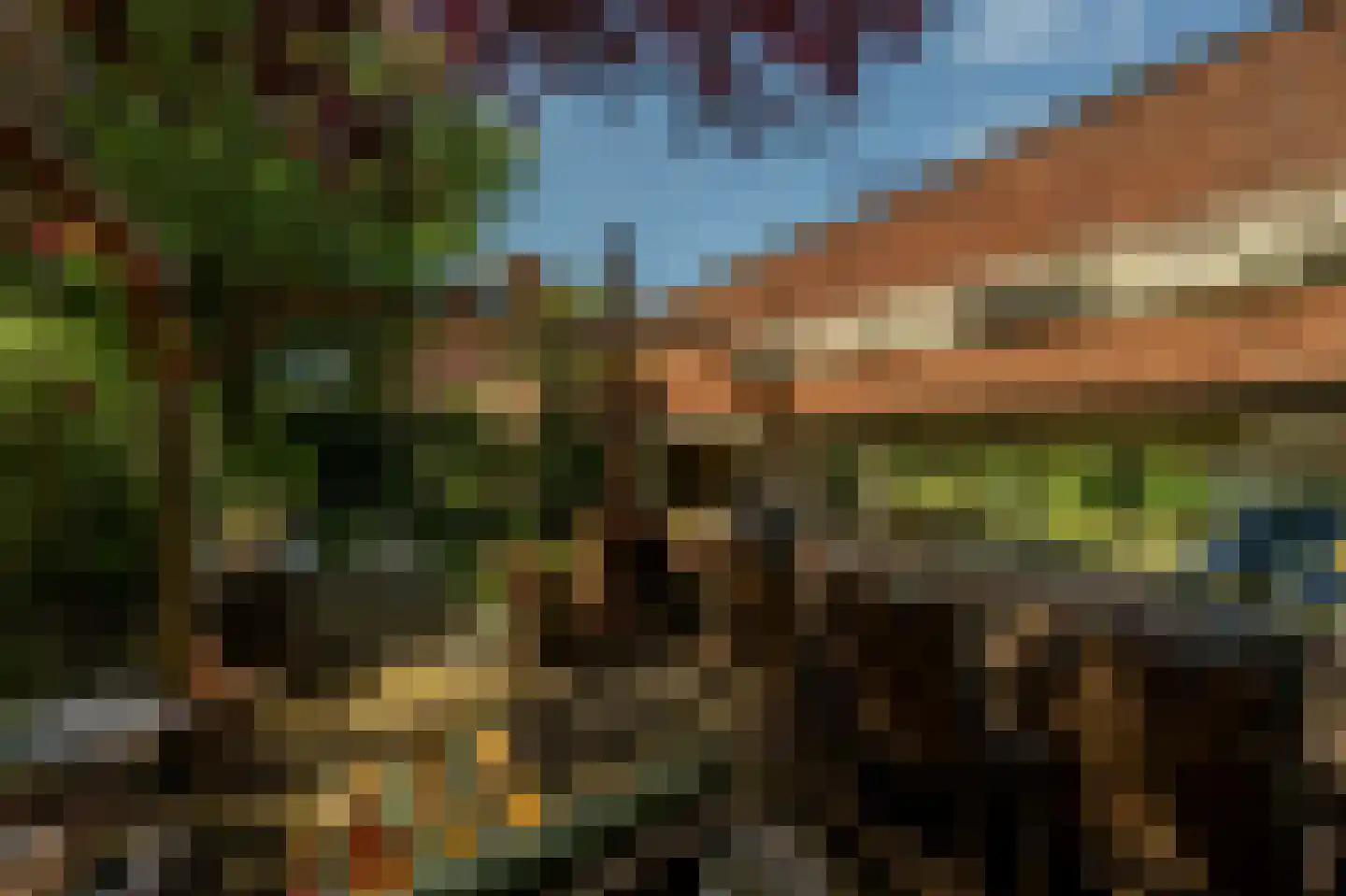 Wollefoppenweg 2 D Rotterdam thumbnail 50