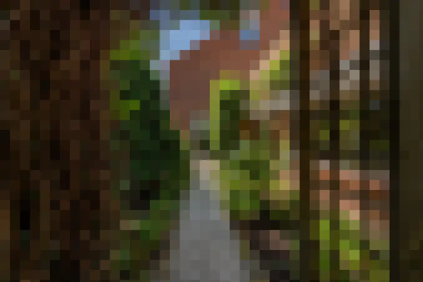 Wollefoppenweg 2 D Rotterdam thumbnail 51