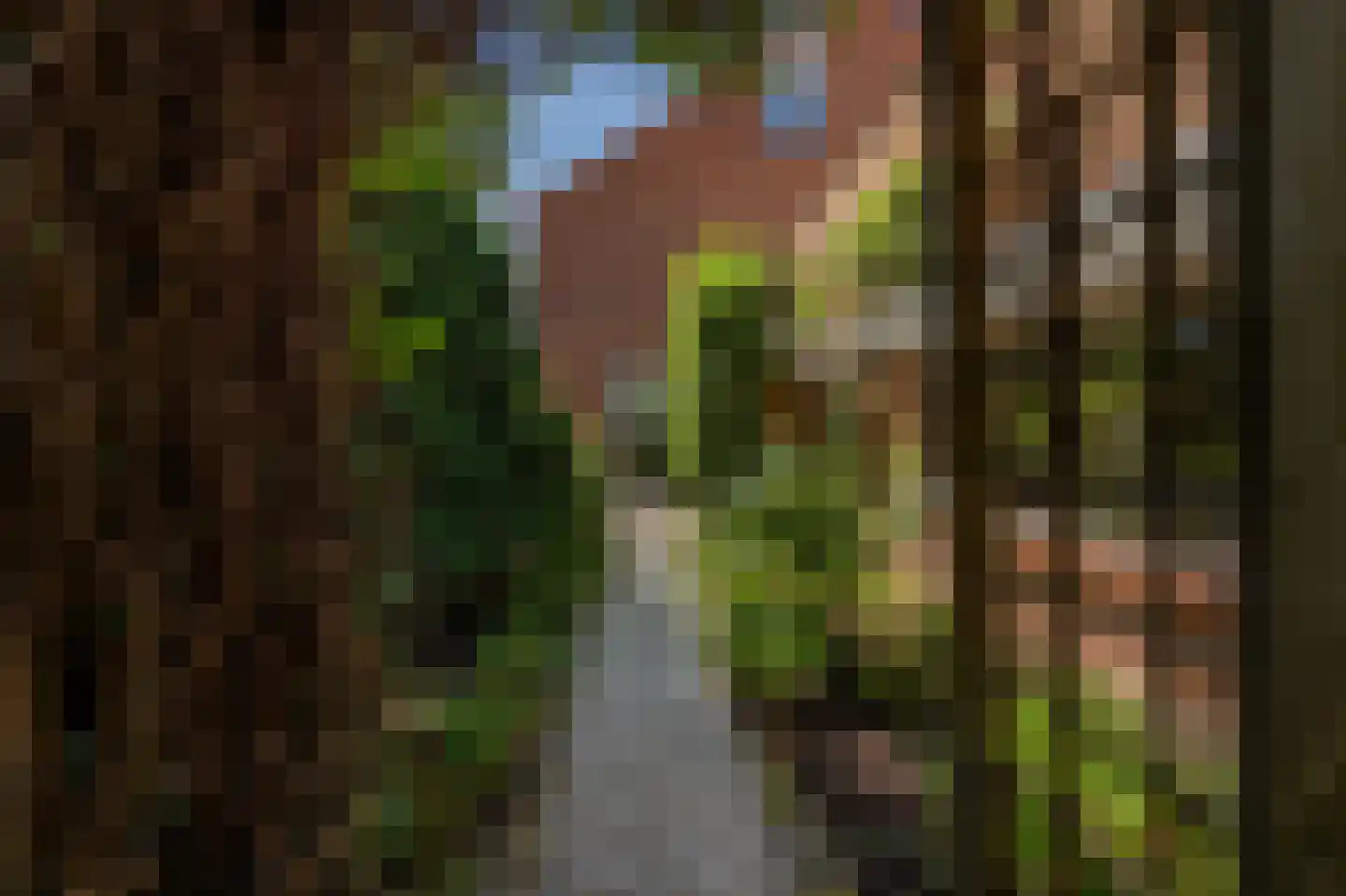Wollefoppenweg 2 D Rotterdam thumbnail 51