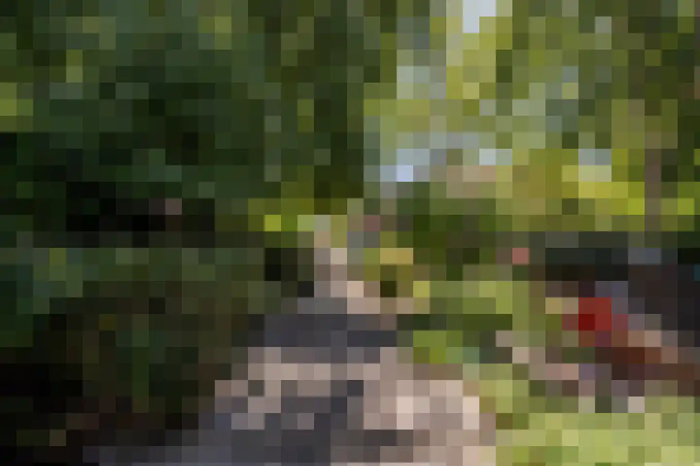 Wollefoppenweg 2 D Rotterdam thumbnail 52