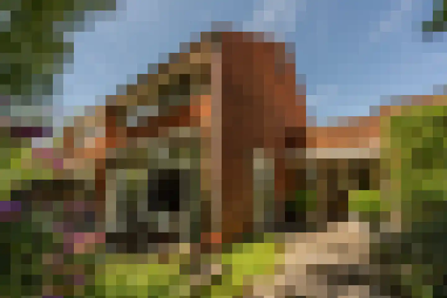 Wollefoppenweg 2 D Rotterdam thumbnail 54