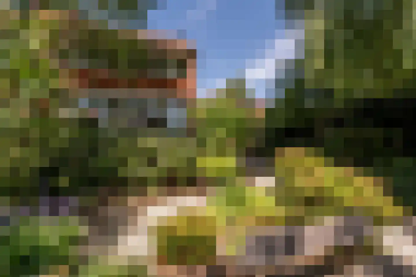 Wollefoppenweg 2 D Rotterdam thumbnail 55
