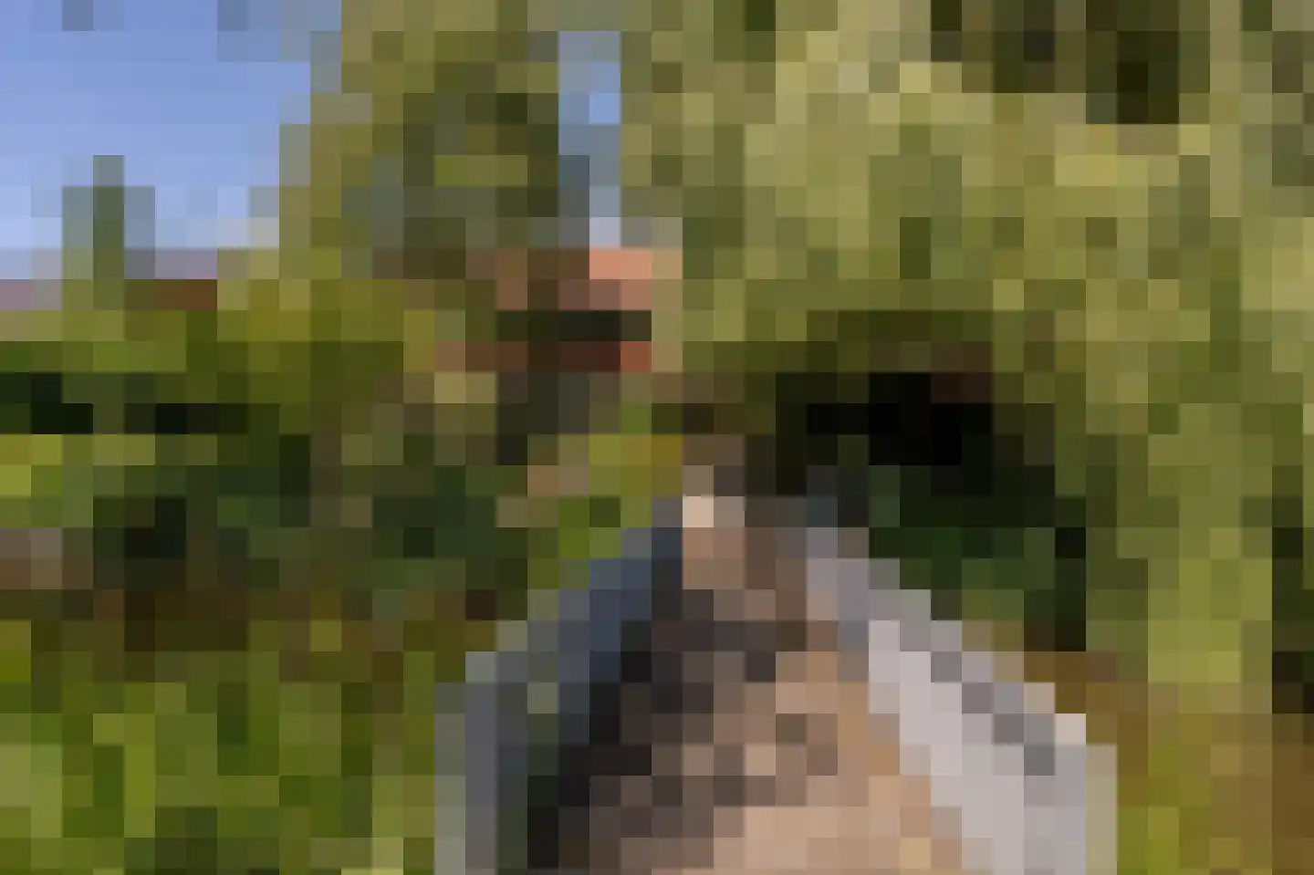 Wollefoppenweg 2 D Rotterdam thumbnail 56