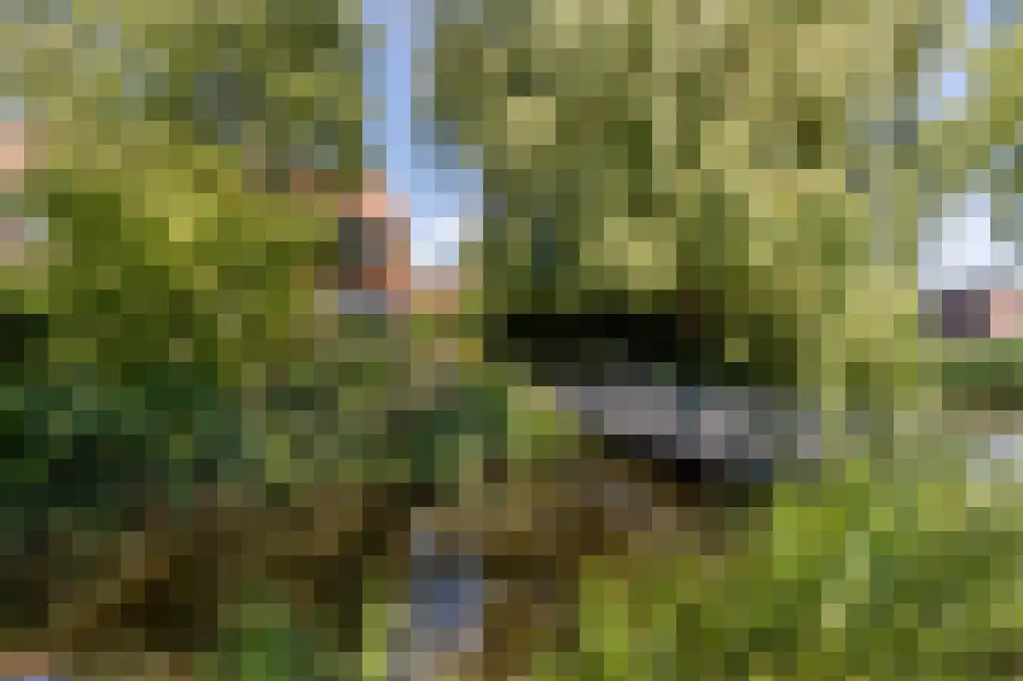 Wollefoppenweg 2 D Rotterdam thumbnail 57