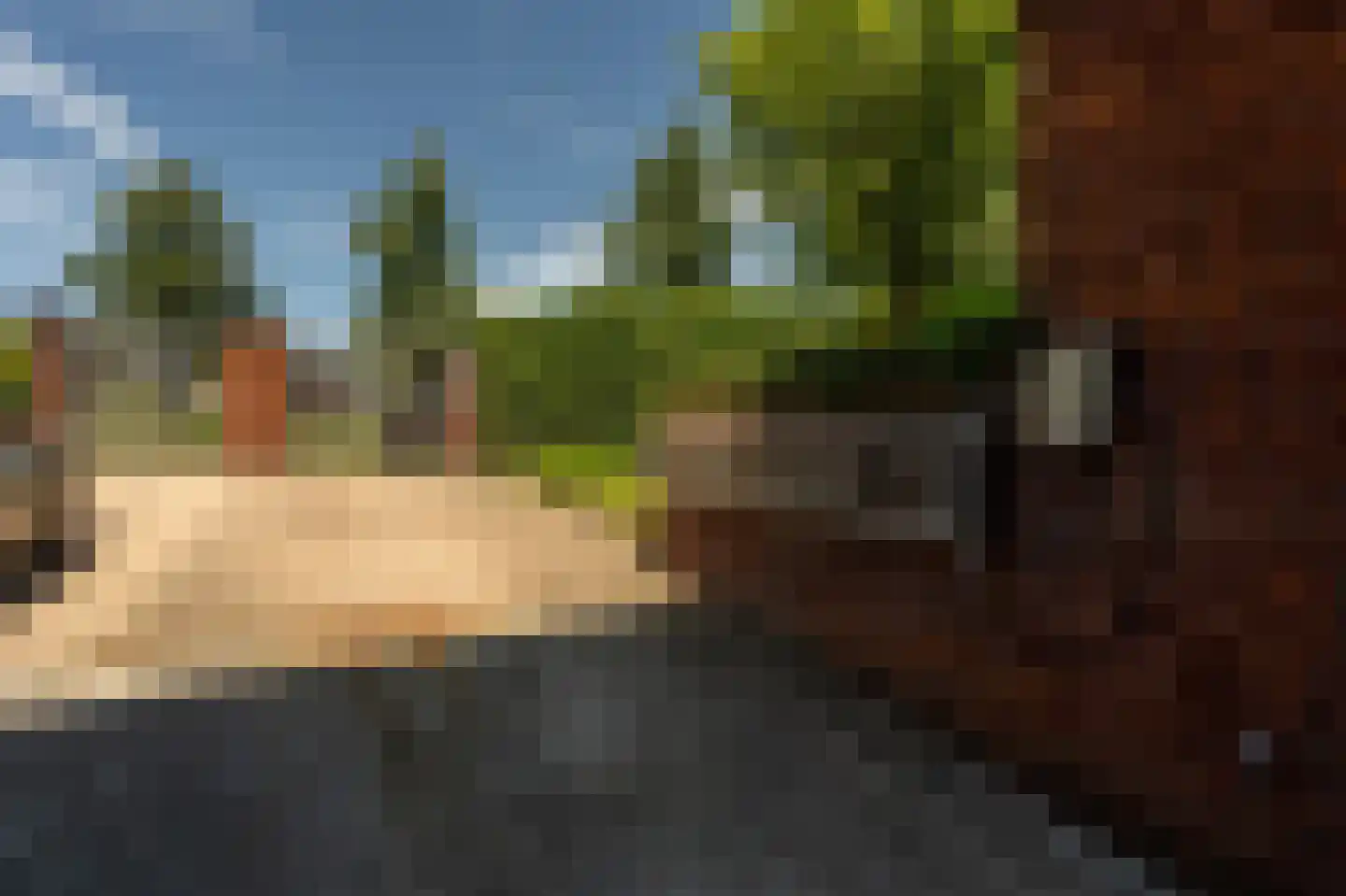Wollefoppenweg 2 D Rotterdam thumbnail 61