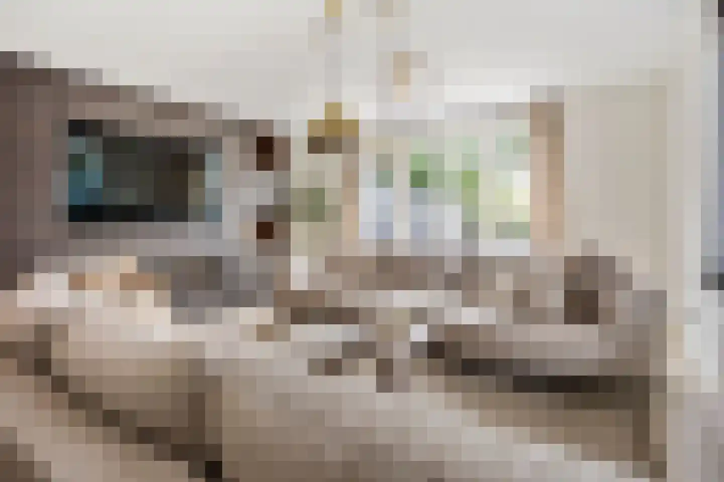 Wollefoppenweg 27 H Rotterdam thumbnail 10