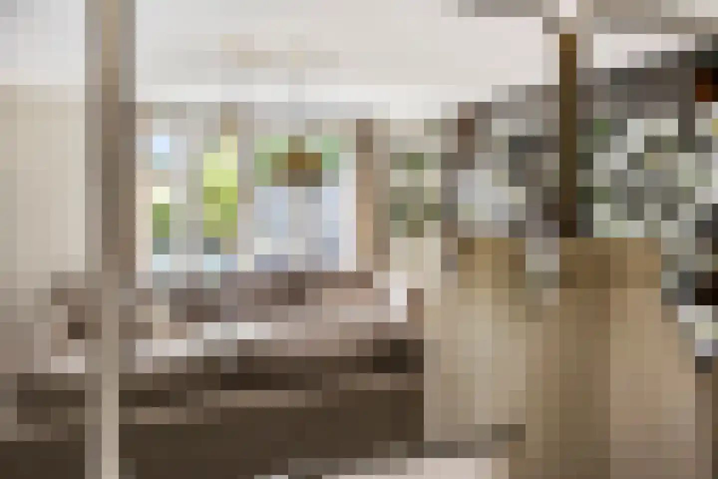 Wollefoppenweg 27 H Rotterdam thumbnail 12