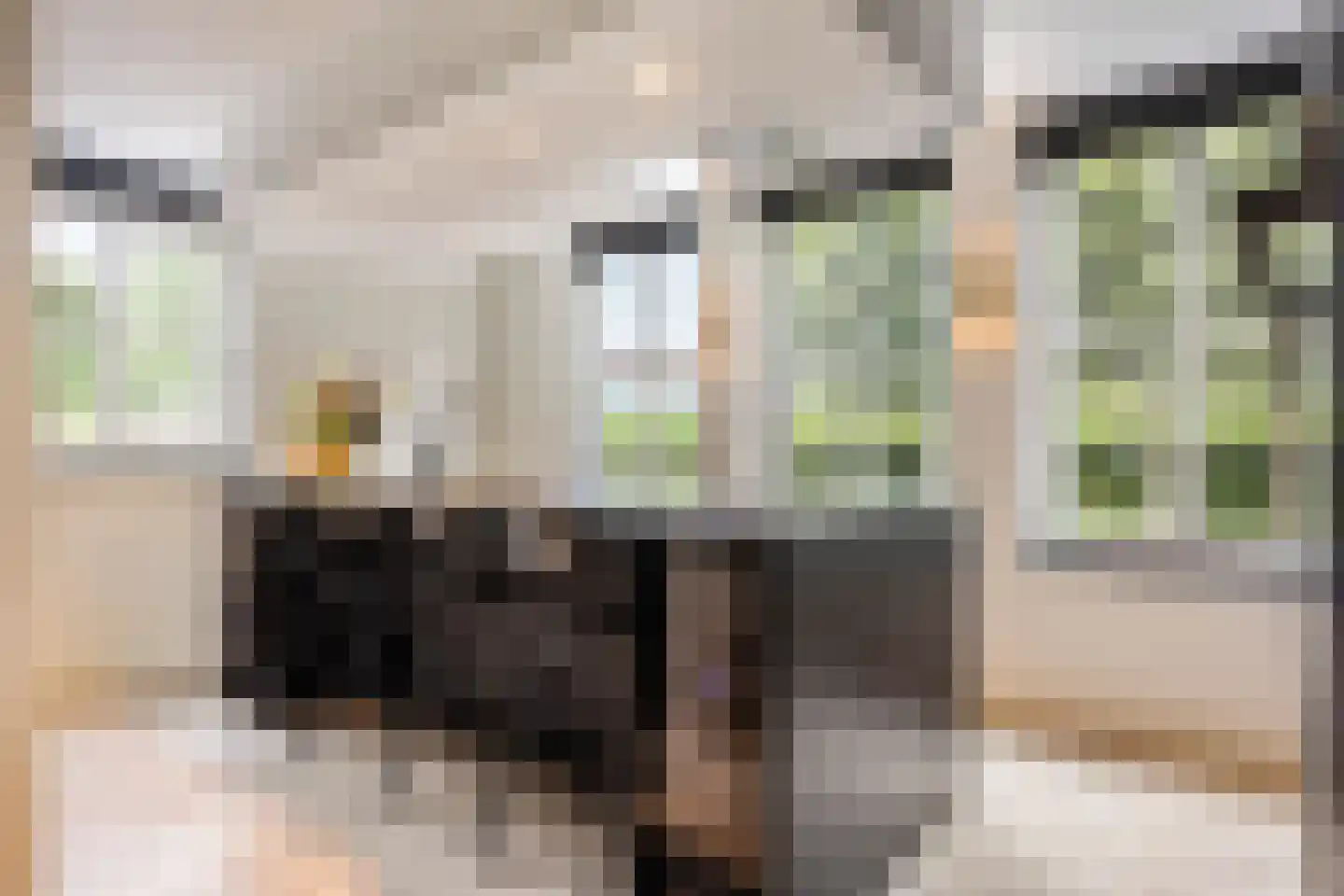 Wollefoppenweg 27 H Rotterdam thumbnail 17