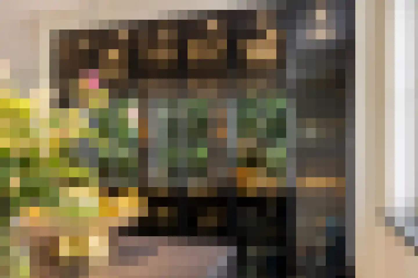 Wollefoppenweg 27 H Rotterdam thumbnail 22