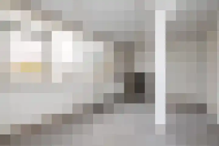 Wollefoppenweg 3 Rotterdam thumbnail 21