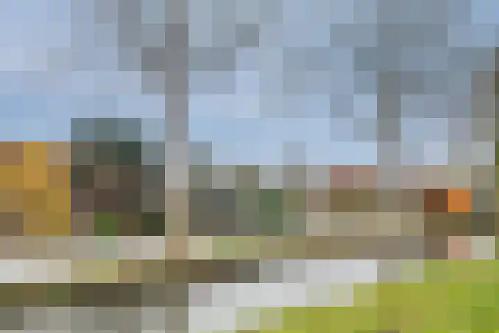 Wollefoppenweg 3 Rotterdam thumbnail 28