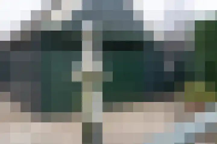Wollefoppenweg 3 Rotterdam thumbnail 38