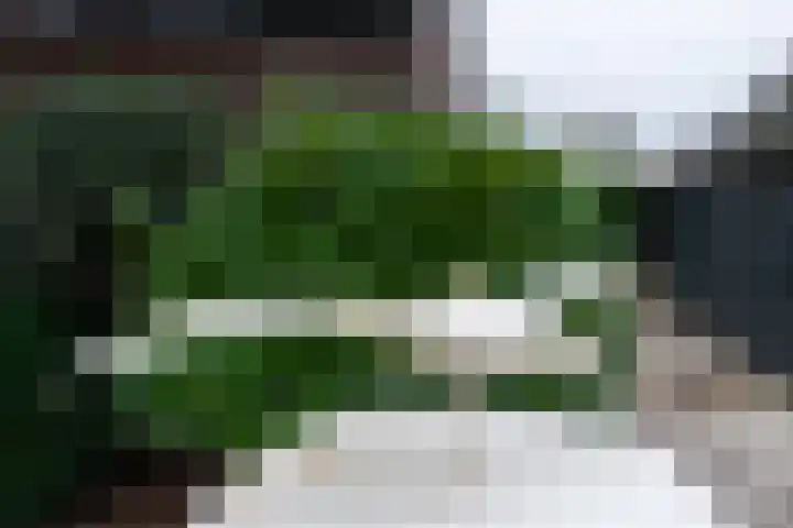 Wollefoppenweg 3 Rotterdam thumbnail 39
