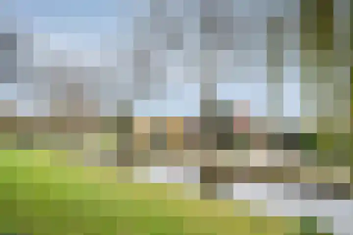Wollefoppenweg 3 Rotterdam thumbnail 4