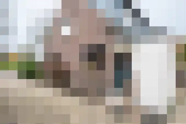 Wollefoppenweg 3 Rotterdam thumbnail 5