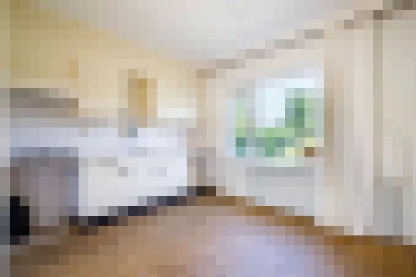 Wollefoppenweg 32 Zevenhuizen thumbnail 12
