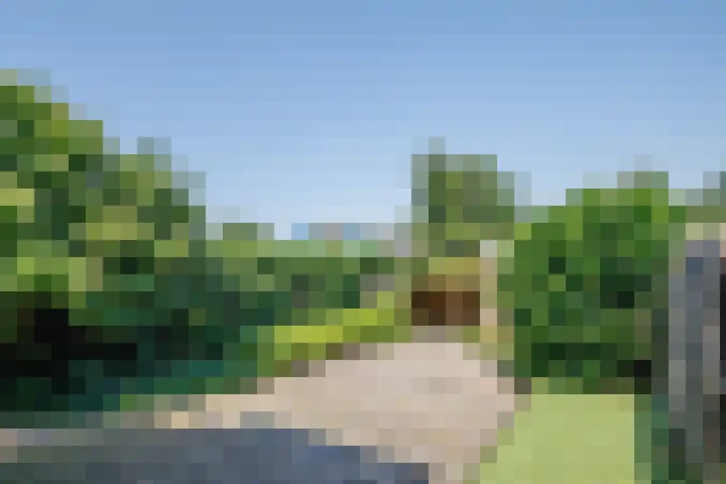 Wollefoppenweg 32 Zevenhuizen thumbnail 28
